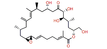 Amphidinolide H3